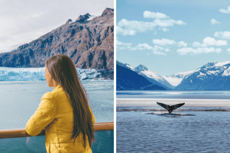 Popular cruise line abruptly shuts down, cancels all sailings