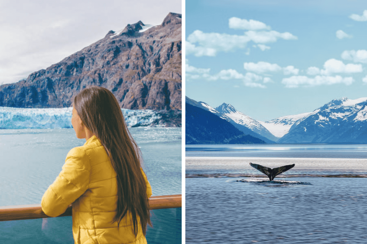 Popular cruise line abruptly shuts down, cancels all sailings